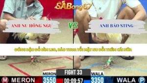 Trận 33 bồ CPC2 13/5/2026
