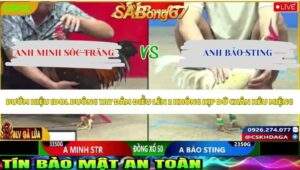 Trận 33 bồ CPC2 20/5/2026