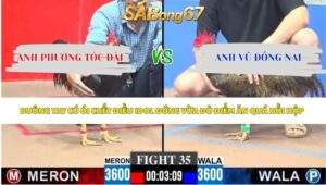 Trận 35 bồ CPC3 4/5/2026