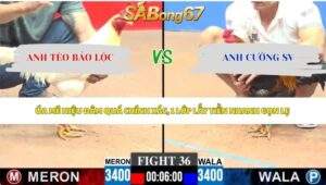 Trận 36 bồ CPC3 28/5/2026