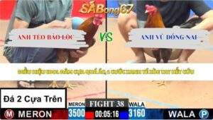 Trận 38 bồ CPC3 28/5/2026