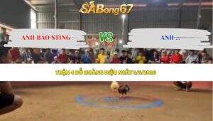 TRẬN 4 ANH BẢO STING BỒ HOÀNG DIỆU NGÀY 3/5/2026
