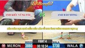 Trận 4 bồ CPC2 13/5/2026