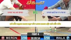 Trận 4 bồ CPC2 20/5/2026