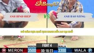 Trận 4 bồ CPC2 22/5/2026