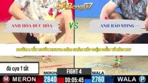 Trận 4 bồ CPC2 27/5/2026