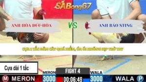 Trận 4 bồ CPC2 29/5/2026
