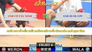 Trận 4 bồ CPC3 11/5/2026