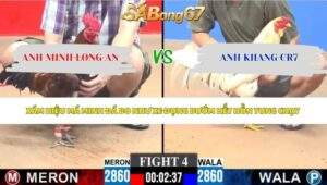 Trận 4 bồ CPC3 24/5/2026