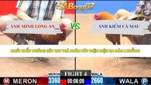 Trận 4 bồ CPC3 31/5/2026
