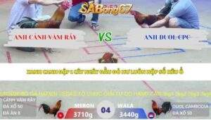Trận 4 bồ Xà Xía 28/5/2026