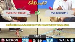 Trận 5 bồ CPC2 13/5/2026