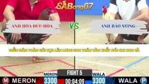 Trận 5 bồ CPC2 19/5/2026