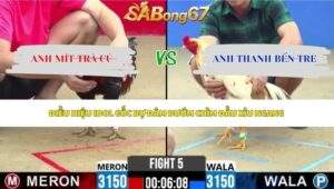 Trận 5 bồ CPC2 20/5/2026
