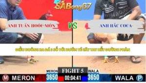 Trận 5 bồ CPC3 11/5/2026