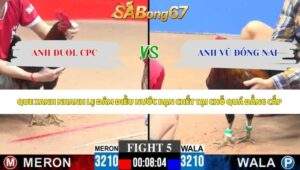 Trận 5 bồ CPC3 25/5/2026