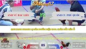 Trận 5 bồ Xà Xía 14/5/2026