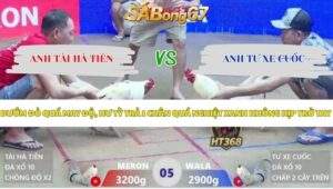 Trận 5 bồ Xà Xía 26/5/2026