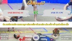 Trận 5 bồ Xà Xía 7/5/2026