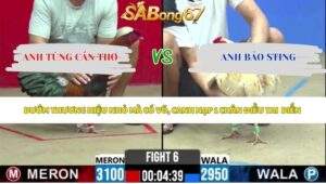 Trận 6 bồ CPC2 19/5/2026