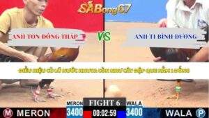 Trận 6 bồ CPC3 21/5/2026