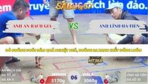 Trận 6 bồ Xà Xía 1/5/2026