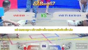 Trận 6 bồ Xà Xía 12/5/2026
