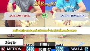 Trận 7 bồ CPC2 1/5/2026