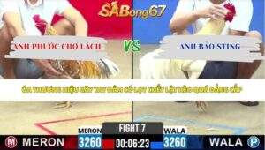 Trận 7 bồ CPC2 13/5/2026