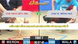 Trận 7 bồ CPC2 23/5/2026