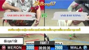 Trận 7 bồ CPC2 27/5/2026