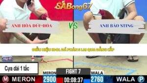 Trận 7 bồ CPC2 29/5/2026