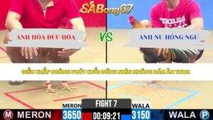 Trận 7 bồ CPC2 5/5/2026