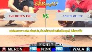 Trận 7 bồ CPC3 11/5/2026