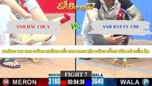 Trận 7 bồ CPC3 25/5/2026