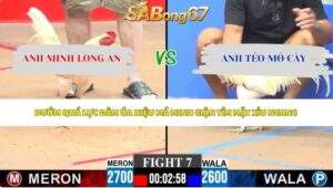 Trận 7 bồ CPC3 28/5/2026