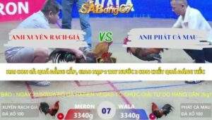 Trận 7 bồ Xà Xía 21/5/2026