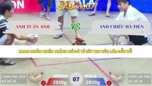 Trận 7 bồ Xà Xía 3/5/2026