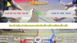 Trận 7 bồ Xà Xía 7/5/2026