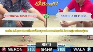 Trận 8 bồ CPC2 19/5/2026