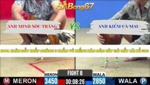 Trận 8 bồ CPC2 20/5/2026