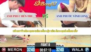 Trận 8 bồ CPC2 26/5/2026