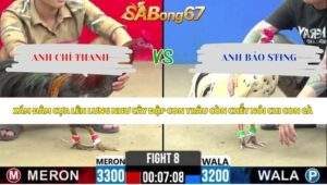 Trận 8 bồ CPC2 27/5/2026