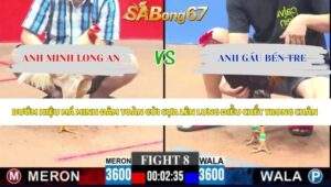 Trận 8 bồ CPC3 16/5/2026