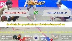 Trận 8 bồ Xà Xía 7/5/2026