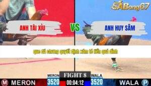 Trận 8 bồ CPC3 17/5/2026