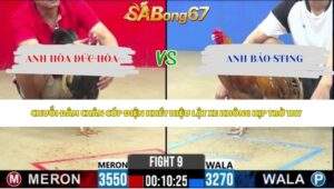Trận 9 bồ CPC2 19/5/2026