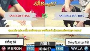 Trận 9 bồ CPC2 27/5/2026