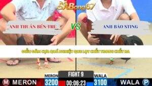 Trận 9 bồ CPC2 30/5/2026