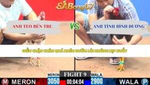Trận 9 bồ CPC3 30/5/2026